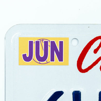 California license plate June month sticker applied to upper corner of white California plate — Courtside Series